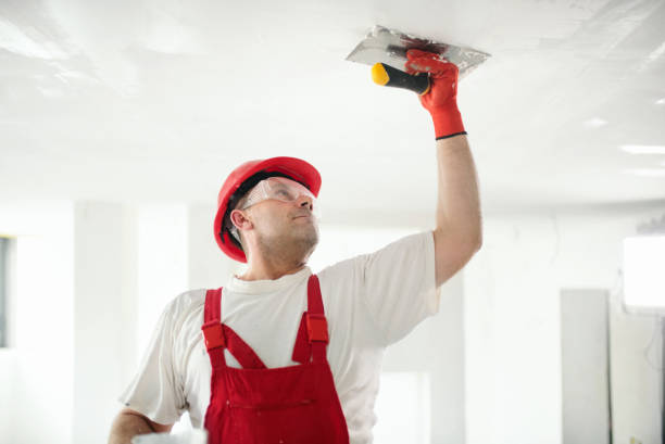 Best Biohazard Mold Removal  in Abingdon, IL