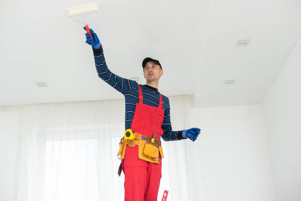 Best Mold Damage Restoration  in Abingdon, IL
