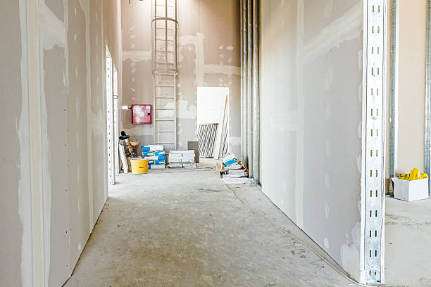 Best Asbestos and Lead Testing During Mold Inspection  in Abingdon, IL